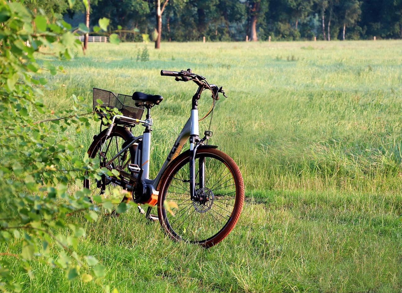 service-04 e-bike, bicycle, field, electric bike, ebike, bike, meadow, electric bike, ebike, ebike, ebike, ebike, ebike