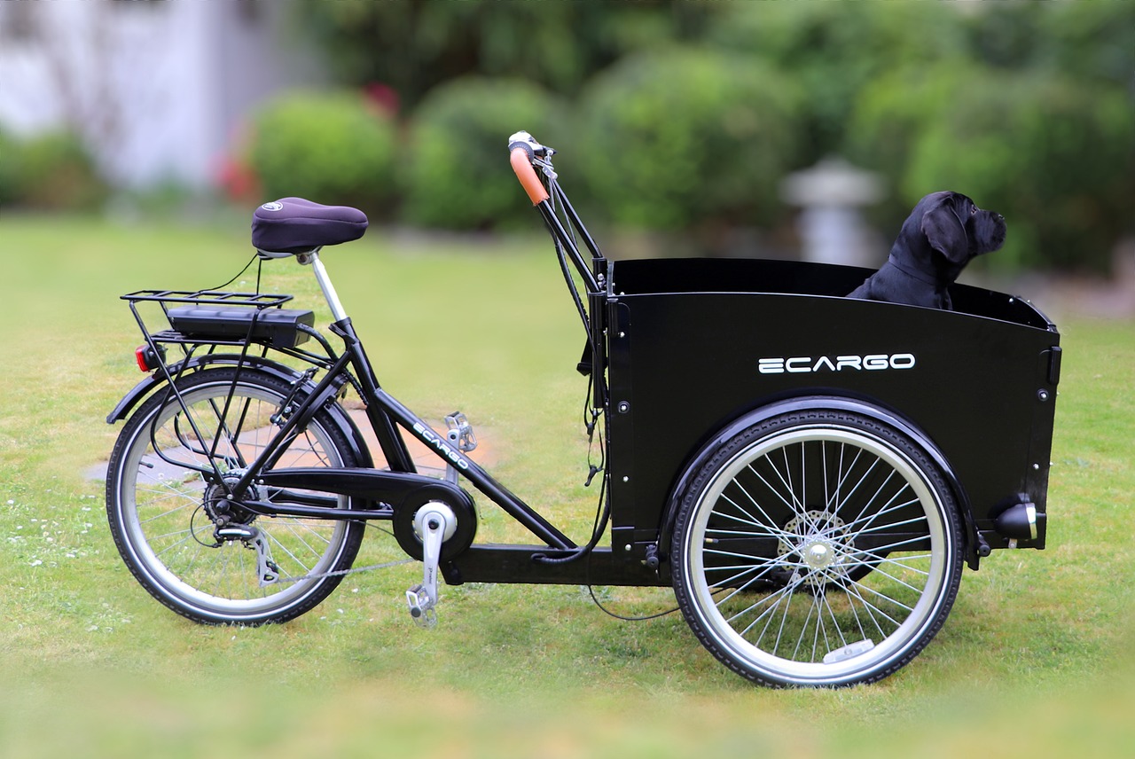 service-06 electric cargo bike, e-bike, bike, ebike, e-cargo bike, cargo bike, electric bicycle, bicycle, cycle, ebike, ebike, cargo bike, cargo bike, cargo bike, cargo bike, cargo bike