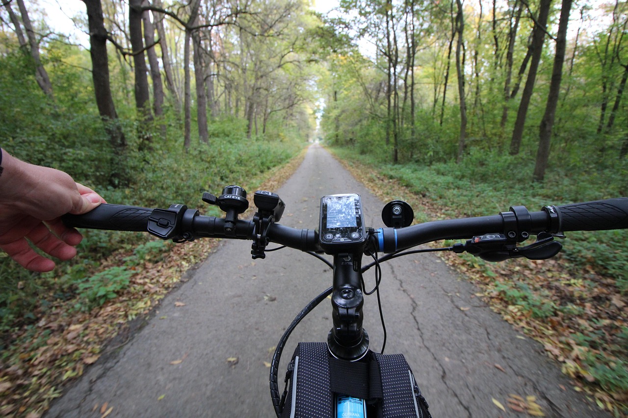 service-03 fall, bike ride, cycling, forest, countryside, frees, woods, autumn, electric bike, ebike, leisure, fitness, ebike, ebike, ebike, ebike, ebike